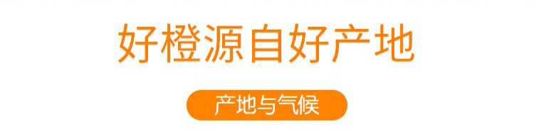 【冬季“维C”之王|麻阳冰糖橙·纯甜爆汁】比喝橙汁还过瘾!仅18.8元=5斤抢门市价49元麻阳冰糖橙!鲜甜可口,丰盈多汁!新鲜现摘~
