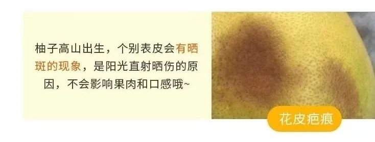 【千千生鲜】19.9元抢9斤黄金黄心柚,来自柚子界的稀有品种!皮薄汁儿多,酸甜可口!产地直发、新鲜直达,生态农场品质保证!