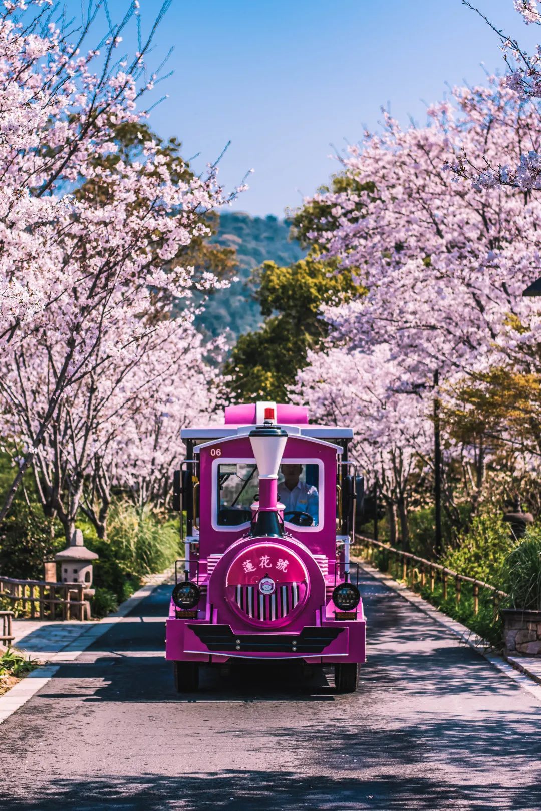 春季出游好去处!仅89/158元抢价值120/210元的【拈花湾&灵山大佛】单人票!用这漫出屏幕的美景,许你整个春天的浪漫~是时候带上家人一起享受踏青的乐趣!