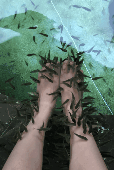 女性单人温泉票玩转初春温暖,品质温泉在贝迪颐园,室外泡汤池,鱼疗