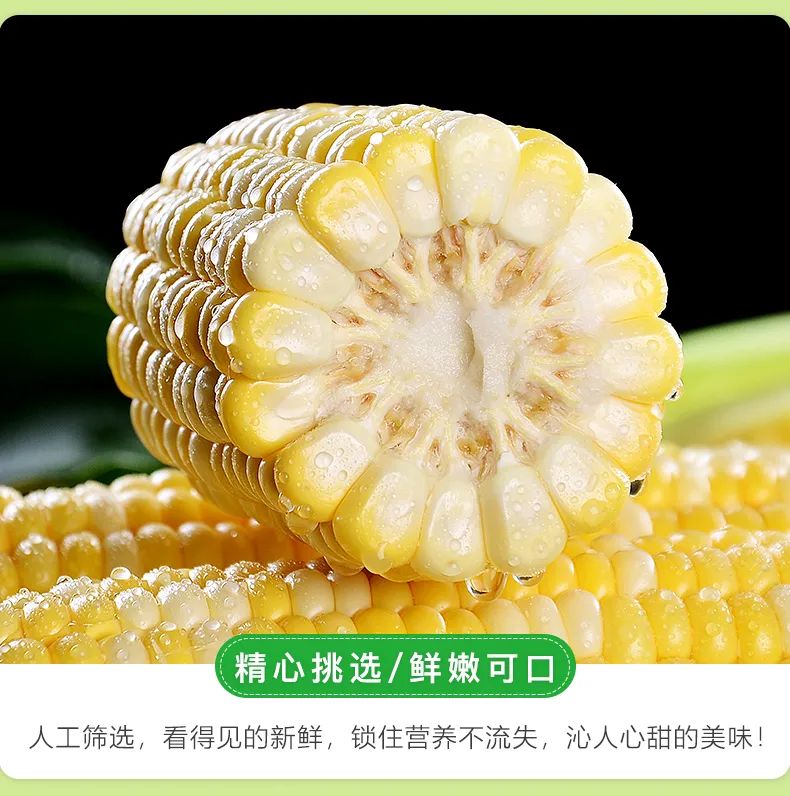 鲜!甜!脆!嫩!颗颗爆甜浆的云南水果玉米王!可以生吃的新鲜水果玉米(保温袋+保鲜膜6-10根)净重4.5-4.8斤仅29.9/32.9元~