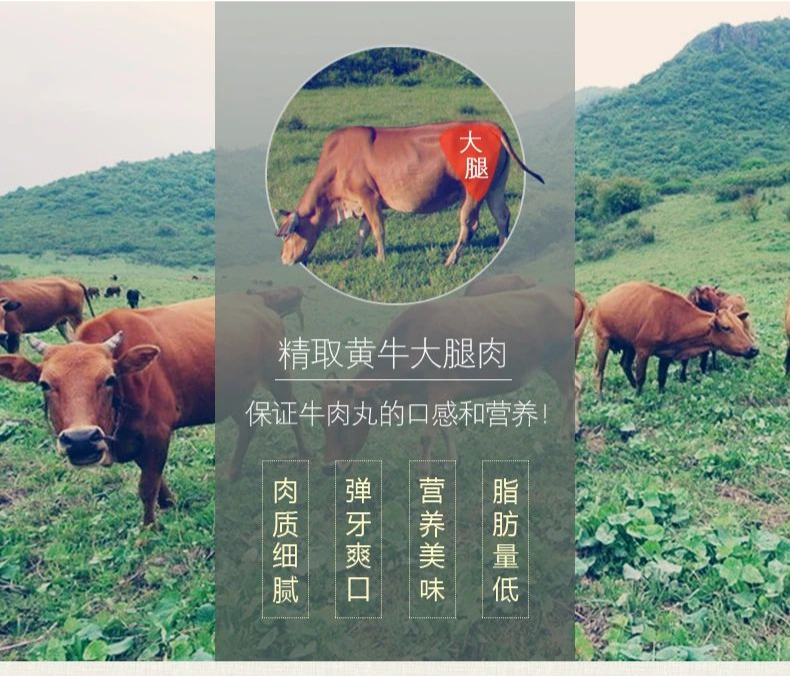 【千千生鲜|潮汕牛肉丸】仅68元抢价值196元潮汕·牛肉丸3斤!1年卖出200000斤的潮汕手工牛肉丸!京东冷链空运,Q弹劲道、一口就爆汁!!!