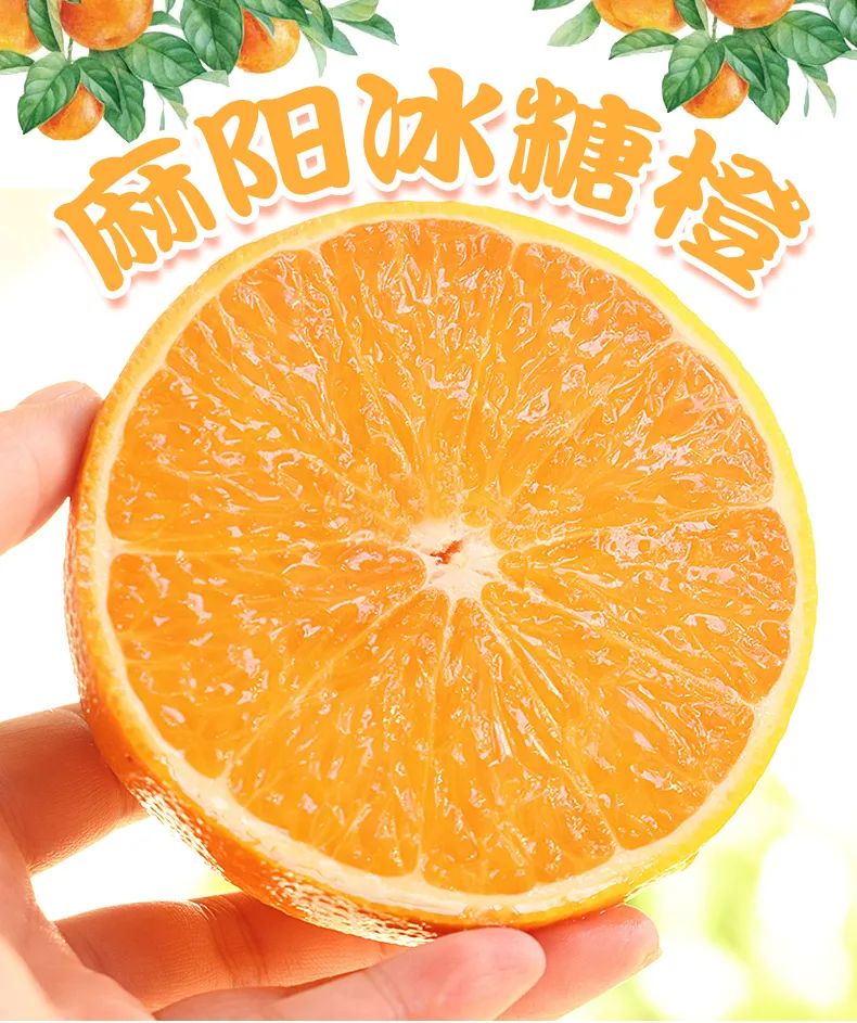 【千千生鲜|麻阳长寿橙·一口爆汁】比喝橙汁还过瘾!19.9元=5斤抢门市价39.9元麻阳长寿橙!鲜甜可口,丰盈多汁!新鲜现摘