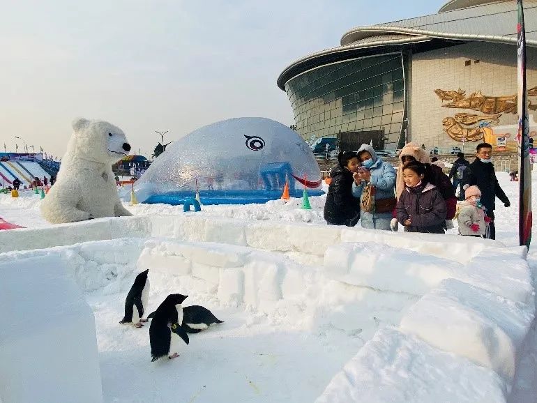 【无需预约~天津人家门口的滑雪场】仅99元抢门市价120元的【冰雪节套餐】天津海昌极地海洋公园滑雪场场内8大滑雪项目通玩(极地动物大合集、七彩雪道、疯狂飞碟、超级碗、阿里巴巴大探宝、迷你摩托、雪地飞车、平衡车)等~【天津海昌极地冰雪节 ,承包剩余冬天里的欢乐与惊喜 ,生活中感受不到的欢声笑语 ,极地冰雪节给你!】周末节假日通用不加价