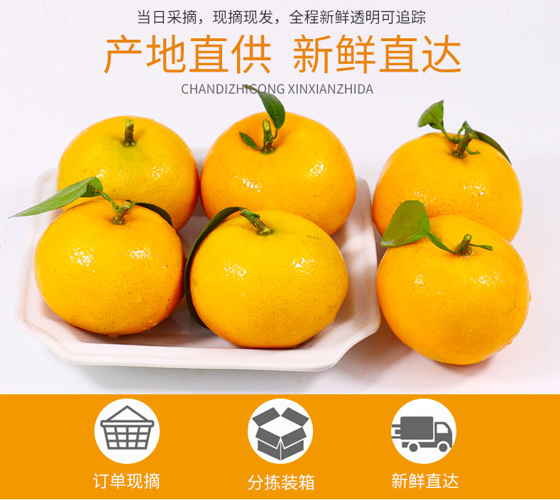 【千千生鲜 | 柑中贵族】水果界的“甜水炸弹”!19.9元/29.9元=(净重)5斤/8斤抢【沃柑】,皮薄肉嫩,一口爆汁,甜上心头!