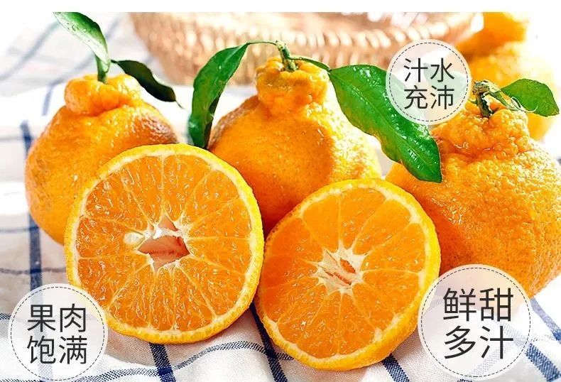 【千千生鲜携手产地直发】2021年百万补贴钜惠消费者~天然维生素 C 的春见耙耙柑!仅28.8元=净重4.8-5.2斤,规格:8-12个~口口爆汁,甜如初恋,解腻还不上火