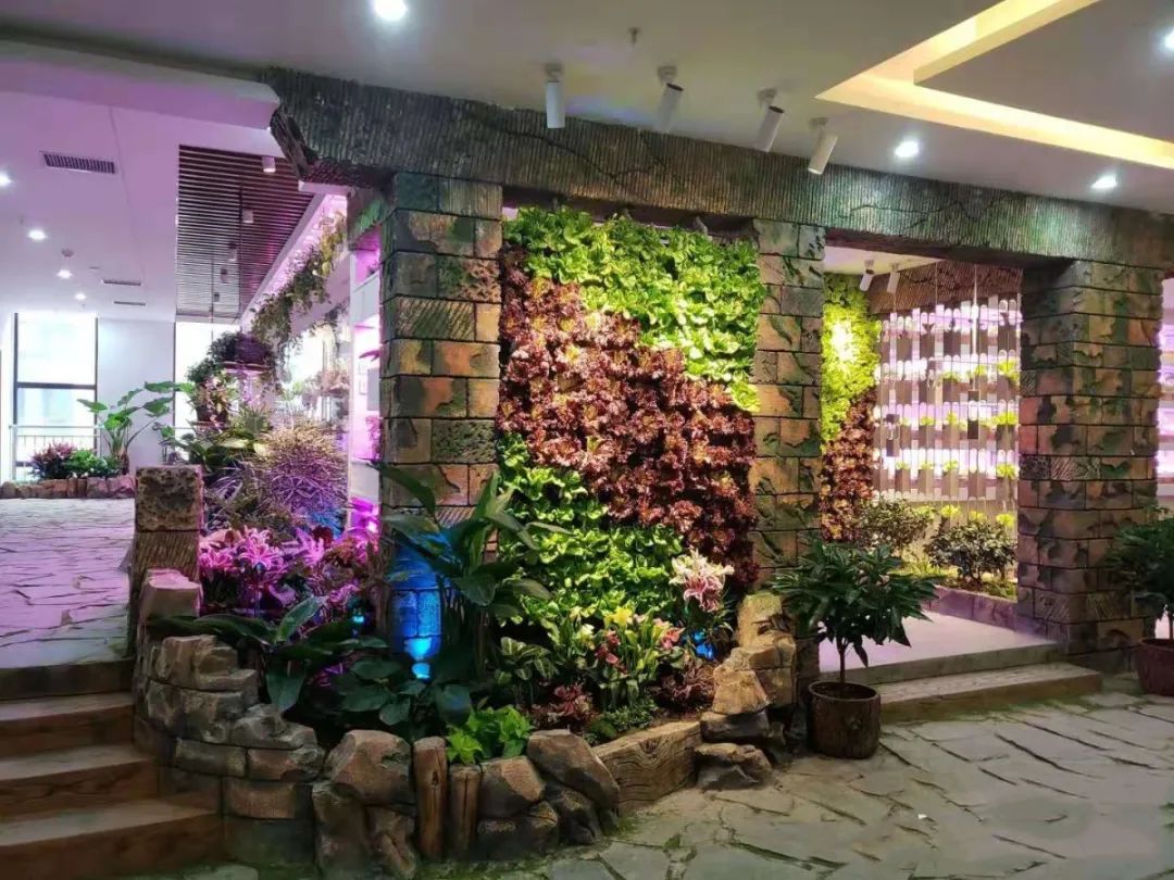 【西北shou家·室内动植物主题·亲子互动乐园 】3500㎡+60余种动物+100余种绿植蔬果~98元抢【Mini Zoo 萌宠王国】1大1小亲子票~138元抢2大1小家庭票!全实景打造,还原动物生态家园~