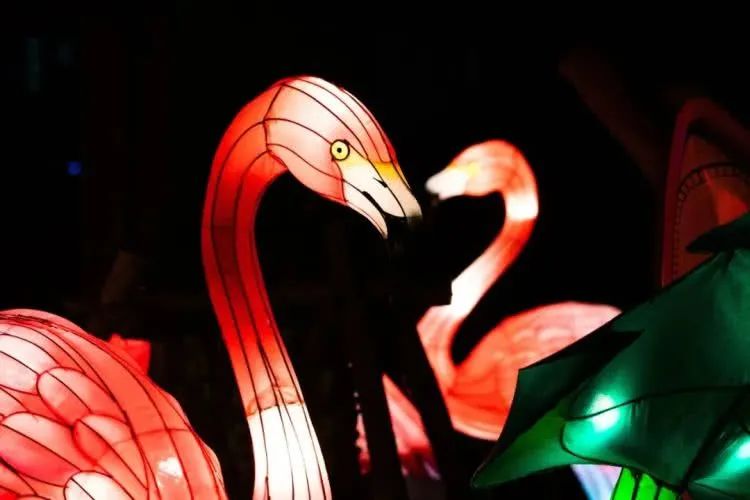 春节新去处,合家乐翻天【玛雅乐园·新春嘉年华】200元玩转玛雅嘉年华~欢乐游乐设施、春潮新春灯荟、贺春风暴演艺、网红美食...不同游玩体验,让新春欢乐不停歇,快来一同参与嘉年华狂欢盛会吧!