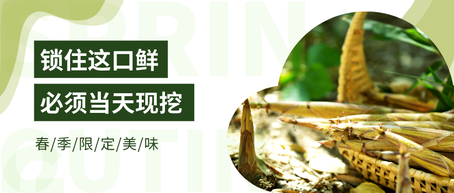 【临安特产】【产地直供·春季限定丨天目山雷笋】《舌尖2》推荐,久违一口鲜!29.9元=鲜笋净重5斤装!现挖现发,壳薄肉嫩,肥厚无渣,鲜中带甜~20天极鲜赏味期,炒炖焖煨……皆美味~
