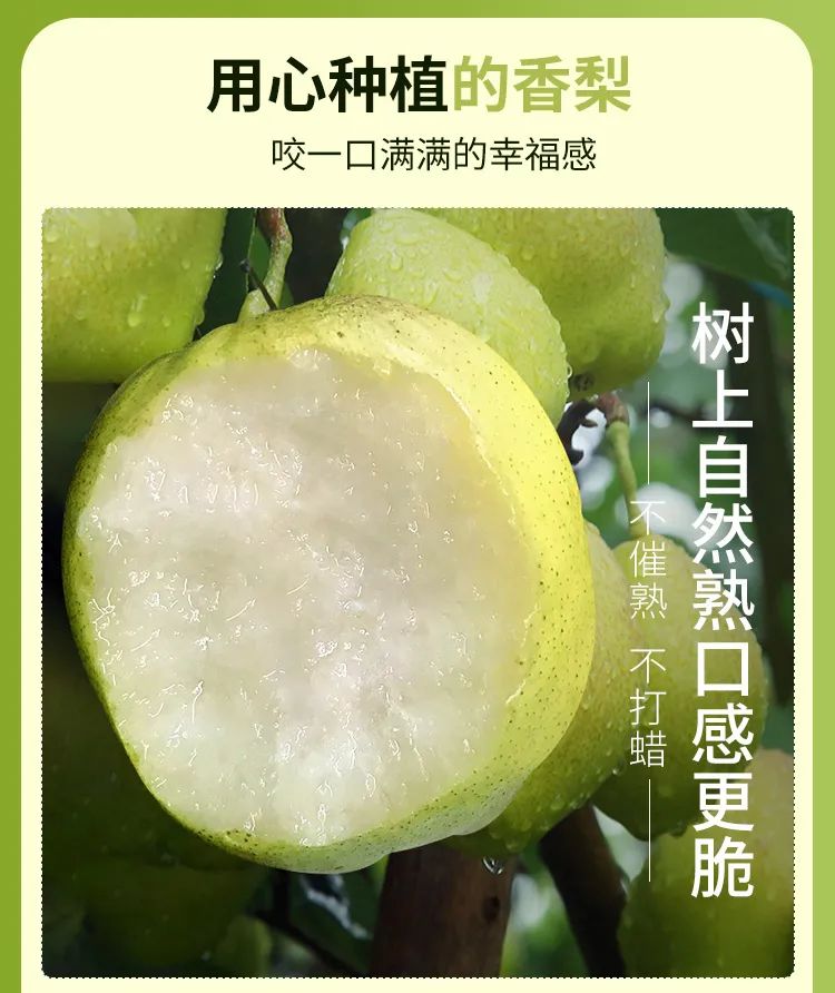 【千千生鲜·春节不打烊】清甜多汁丨 好评如潮,被誉为“世界梨后”的库尔勒!仅34.9元=一级果5斤装,36.9元=特级果5斤装抢新疆库尔勒香梨!珍贵的“西域甘露”,每一口都是味蕾的享受,是你“梨”不开的甜蜜~