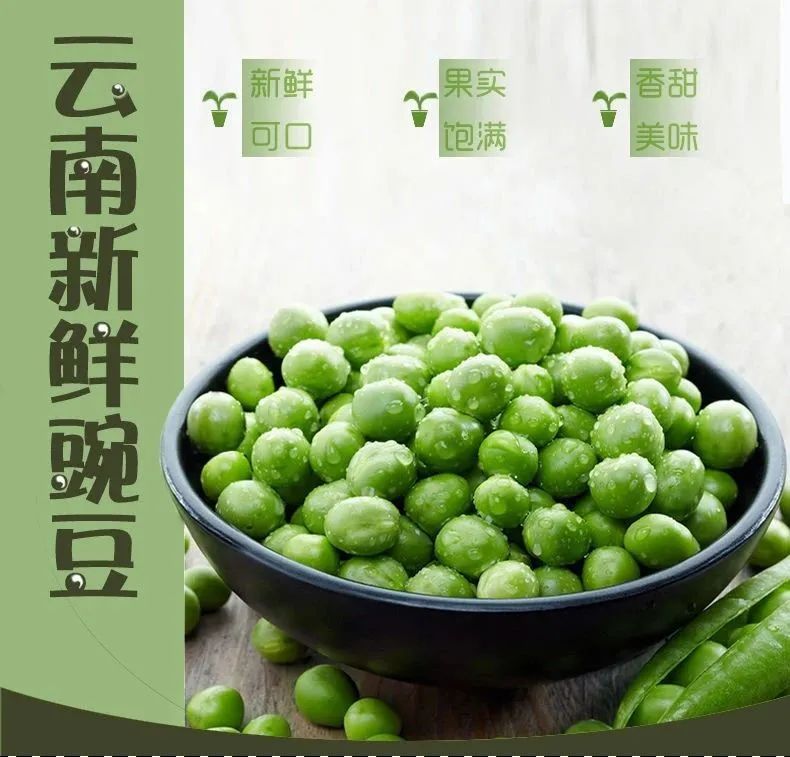新鲜送到家!冬季必吃时令新鲜豌豆上架啦!仅29.9元=5斤云南新鲜带壳豌豆(青豆)农家露天自种,新鲜采摘,带壳发货,杜绝污染~