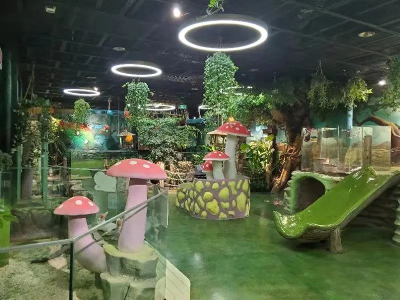【西北shou家·室内动植物主题·亲子互动乐园 】3500㎡+60余种动物+100余种绿植蔬果~98元抢【Mini Zoo 萌宠王国】1大1小亲子票~138元抢2大1小家庭票!全实景打造,还原动物生态家园~
