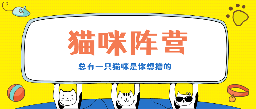 【无需预约·初见猫咪】撸猫的乐趣谁能拒绝!仅需19.9/29.9元即可享门市价136/186元双人撸猫门票/撸猫门票饮料套餐,双人撸猫门票两张+桌游区、电玩区(PS4、任天堂switch)畅玩一个半小时+猫零食一份