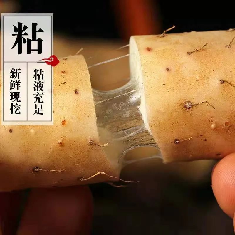 【千千生鲜 | 神仙之食】山中之药、食中之药!仅28.8元=5斤装抢【铁棍山药】,产地直发,蔬菜界的“白月光”,养身滋补必备圣品!
