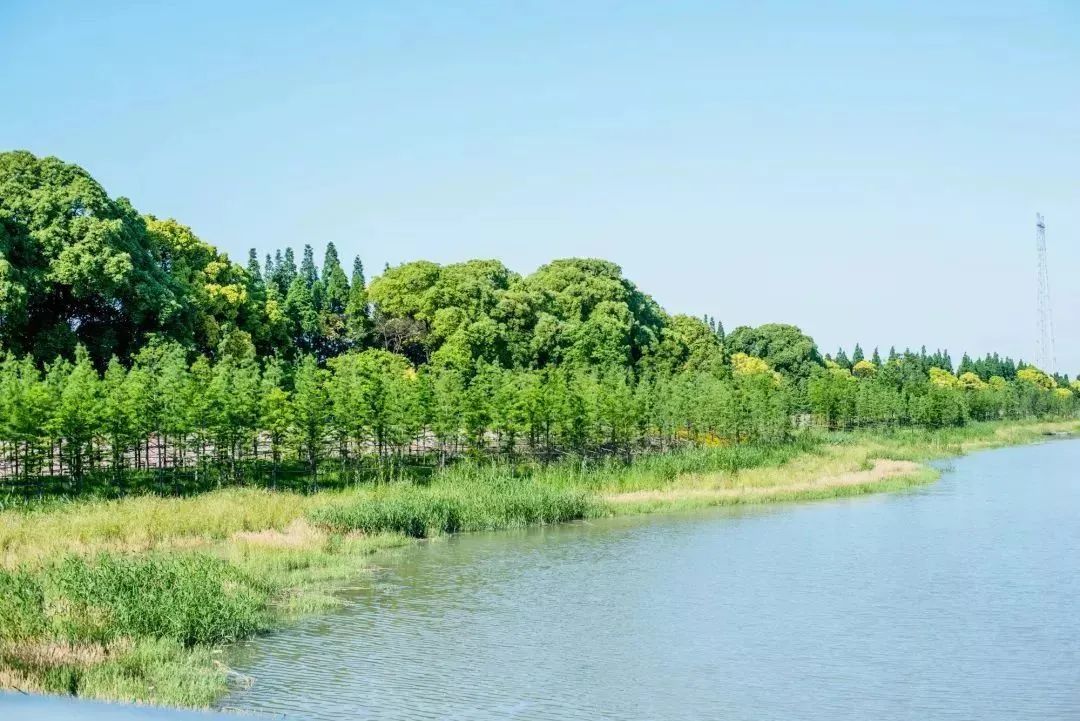【全家欢乐游 踏青好去处】承包一座岛,吃住玩全含~399元抢超值2大1小亲子套餐!双山岛涵田高尔夫度假村双床房+自助早餐+家庭美食套餐1份(晚餐/自助晚餐)+高尔夫体验+自行车骑行...可以乘坐快艇,从繁华的城市开往纯净的江上慢岛~快和家人一起去赴一场自由惬意的约会!