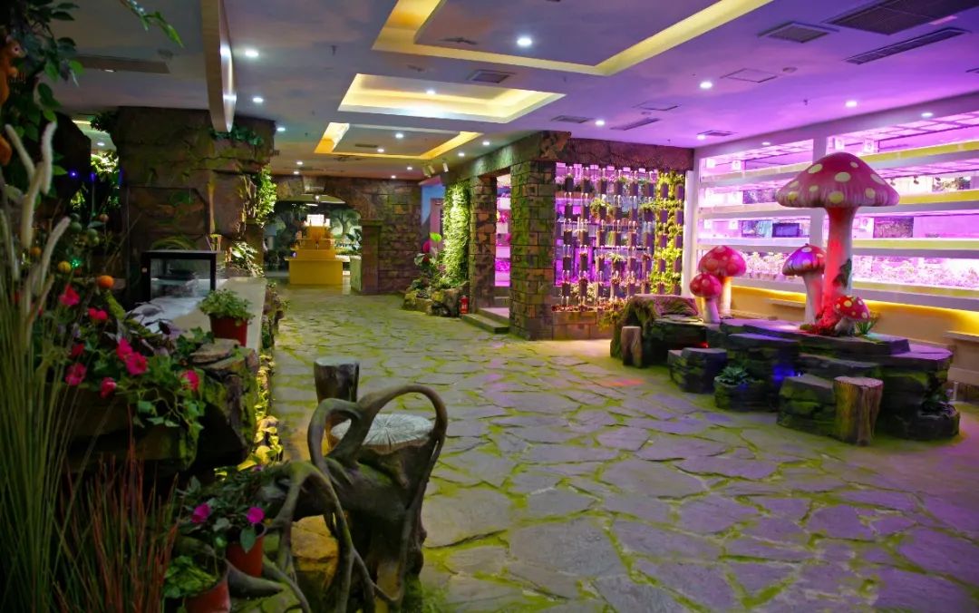 【西北shou家·室内动植物主题·亲子互动乐园 】3500㎡+60余种动物+100余种绿植蔬果~98元抢【Mini Zoo 萌宠王国】1大1小亲子票~138元抢2大1小家庭票!全实景打造,还原动物生态家园~