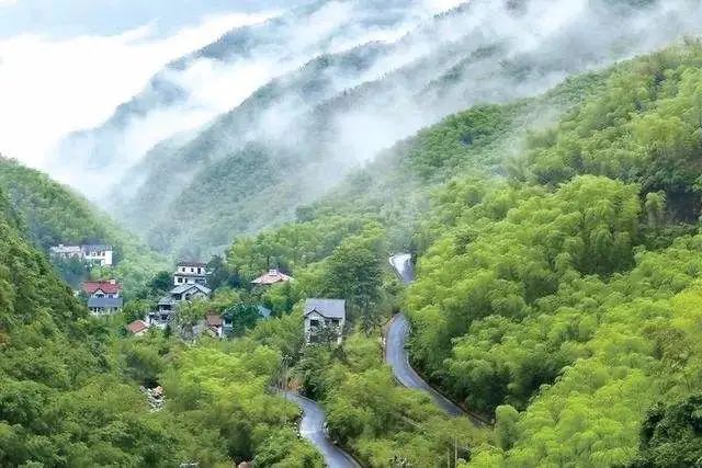 期至715各种项目玩不停普憬安吉杭垓镇安吉夏天风景照片高清图片大全