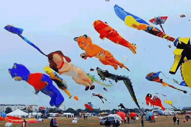 萌宠机智灵活,各项杂技表演得心应手 小狗,山羊,猴子…让您过足