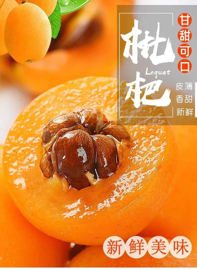 【千千生鲜丨国家地理标志产品·顺京东包邮】米易原产地直供·新鲜采摘!仅39.9元起抢价值158元米易枇杷!香甜多汁,清热解燥、润喉润肺!琼浆玉液都不如它~
