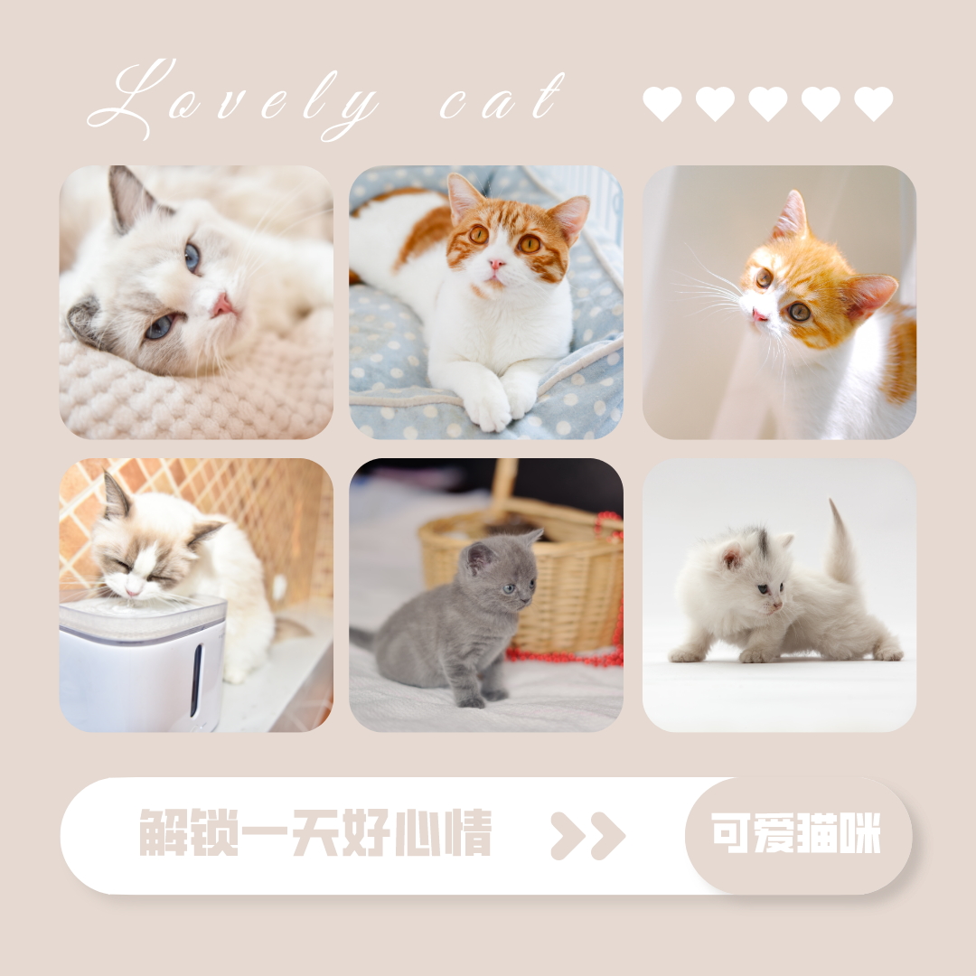 【无需预约·初见猫咪】撸猫的乐趣谁能拒绝!仅需19.9/29.9元即可享门市价136/186元双人撸猫门票/撸猫门票饮料套餐,双人撸猫门票两张+桌游区、电玩区(PS4、任天堂switch)畅玩一个半小时+猫零食一份