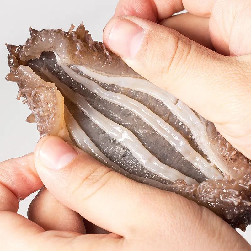 【精选到家】【产地直供丨源自深海,鲜活加工丨大连/福建深海野生海参