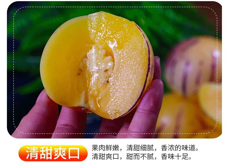 【千千生鲜】【清甜多汁,营养丰富】被称为“抗癌之王”的人参果来啦!仅28.8元=4.7-5斤!抢59元云南石林人参果!产地直发~